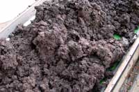 New casing soil