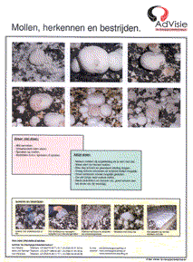 Dry and wet bubble